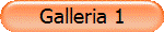 Galleria 1